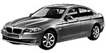 BMW F10 P1070 Fault Code